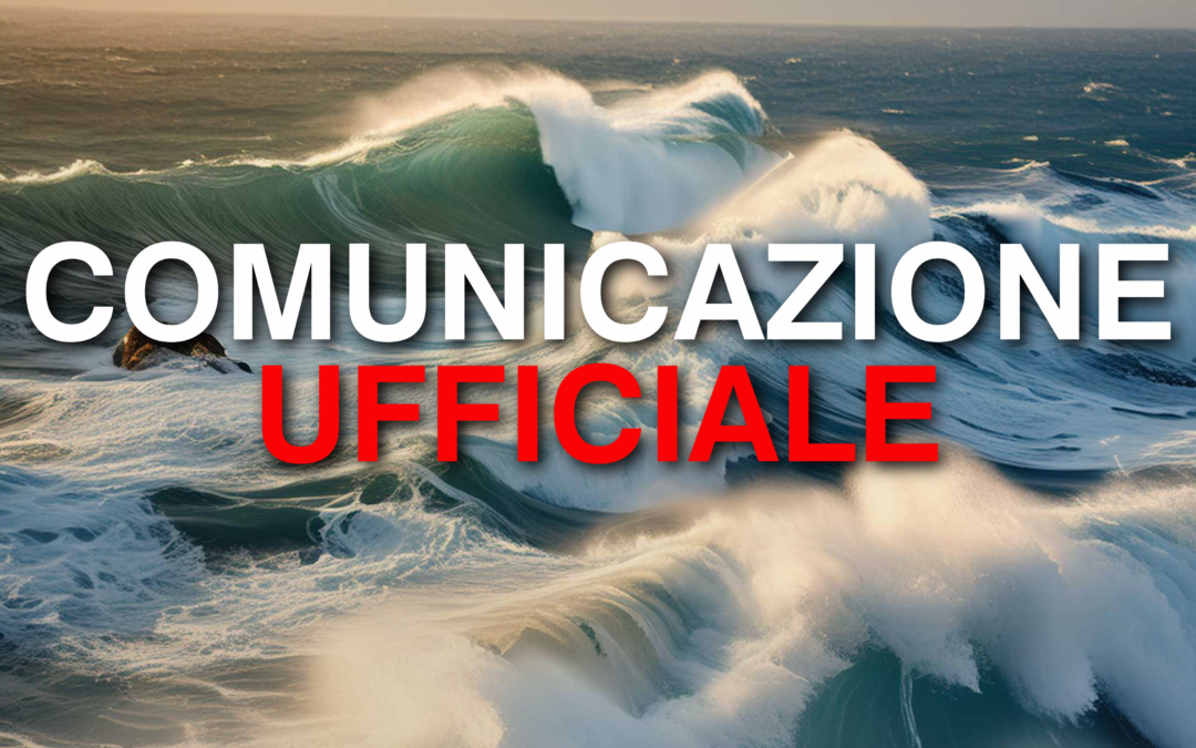 👉 È arrivato il nuovo canale WhatsApp ufficiale della Molfetta Calcio!