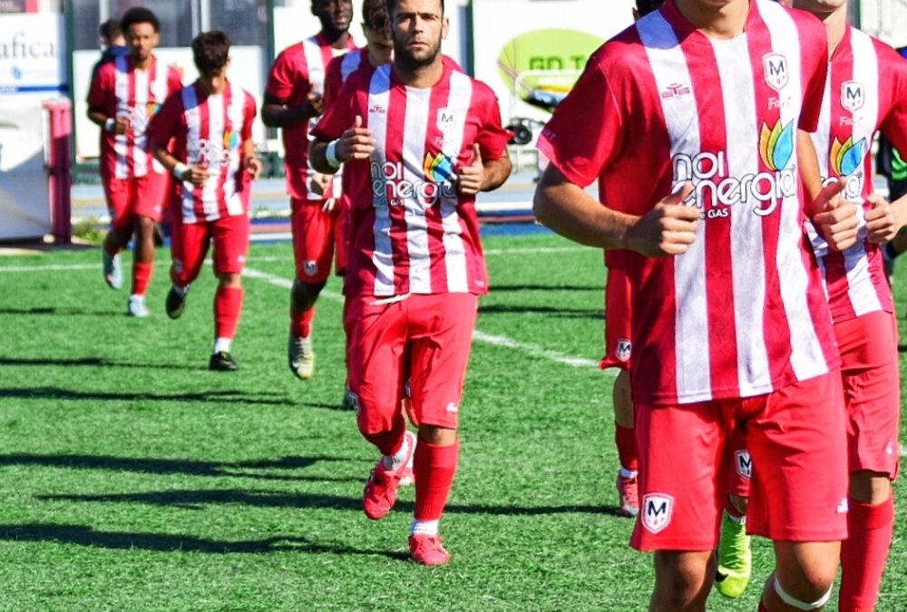 🗞️ COMUNICATO STAMPA